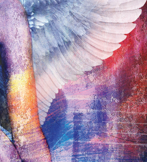 Aves Cover